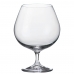 Jogo com 6 Taças Colibri para Conhaque em Cristal 690ml