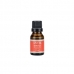 Essência Refil Sementes do Brasil 15ml